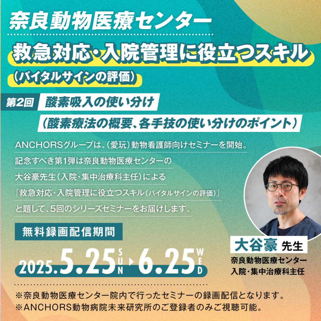 大谷獣医師看護師向けセミナー